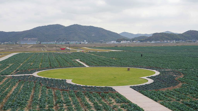 yl23411永利集团科技岱山运营项目获人民日报、新华社、央视等主流媒体关注