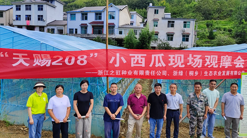 之豇种业“天赐208”小西瓜高山试种成功 助力山区特色农业发展