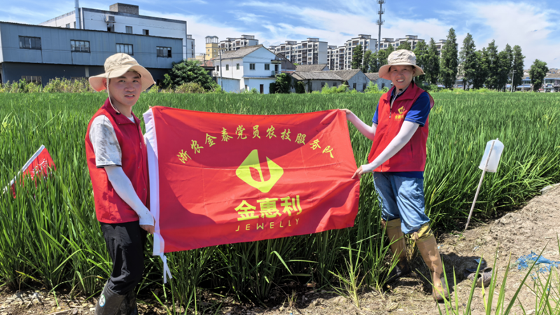 yl23411永利集团金泰：党员田间服务站助力农业稳产增产
